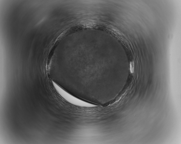 X0000094191155200710261126
