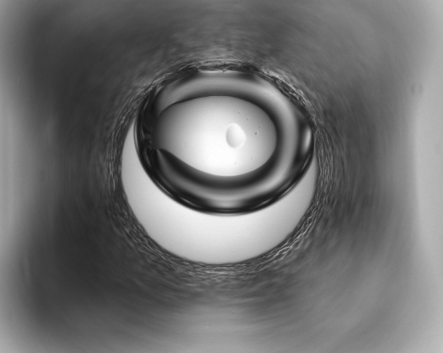 X0000094191157200710261126