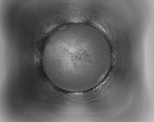 X0000094191158200710261126
