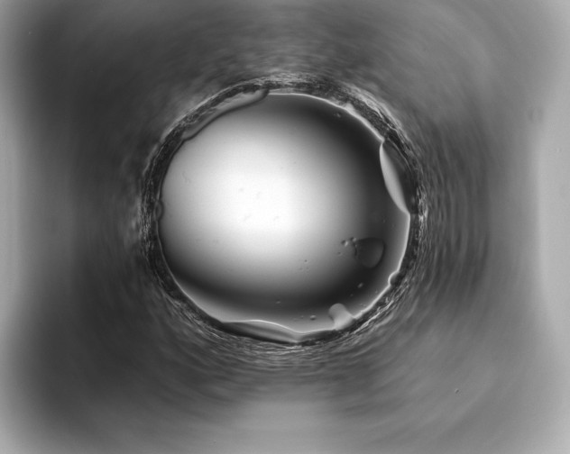 X0000094191160200710261126