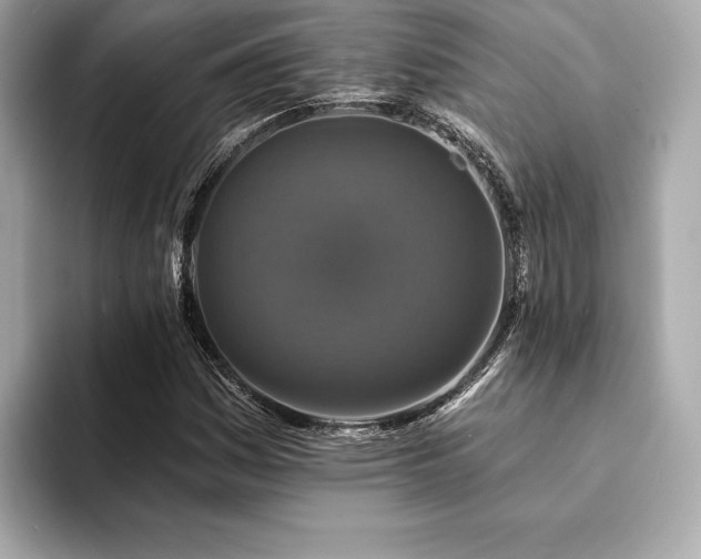 X0000094191161200710261126