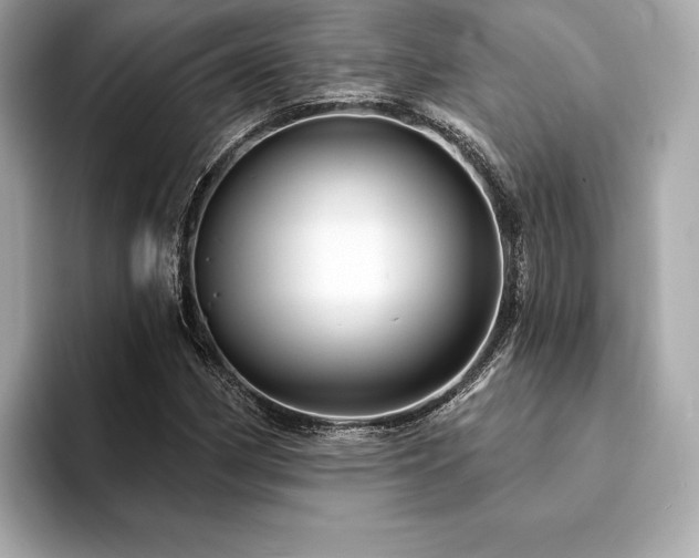 X0000094191162200710261126