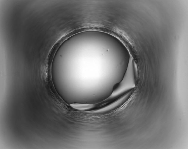 X0000094191165200710261125