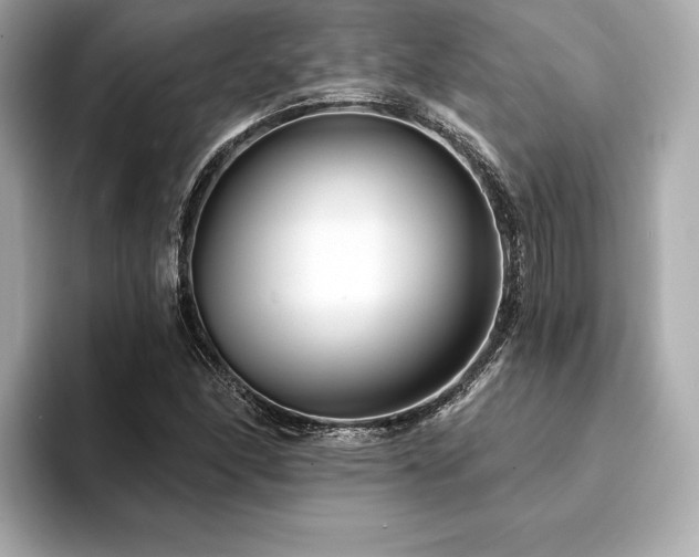 X0000094191166200710261125