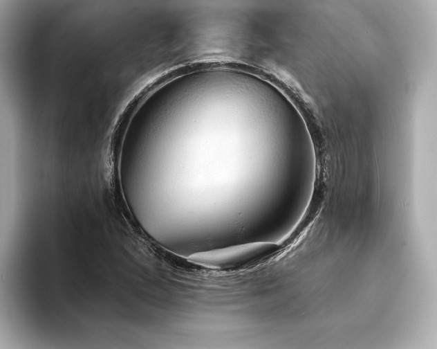 X0000094191167200710261125