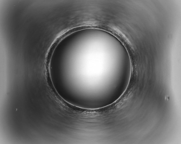 X0000094191168200710261125
