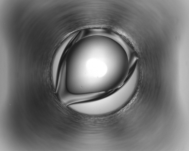X0000094191169200710261125