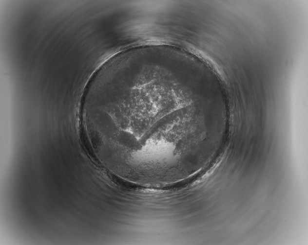 X0000094191170200710261125
