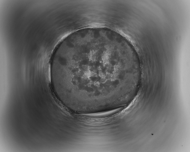 X0000094191171200710261125