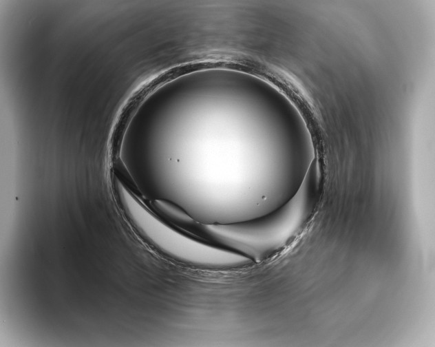 X0000094191172200710261125