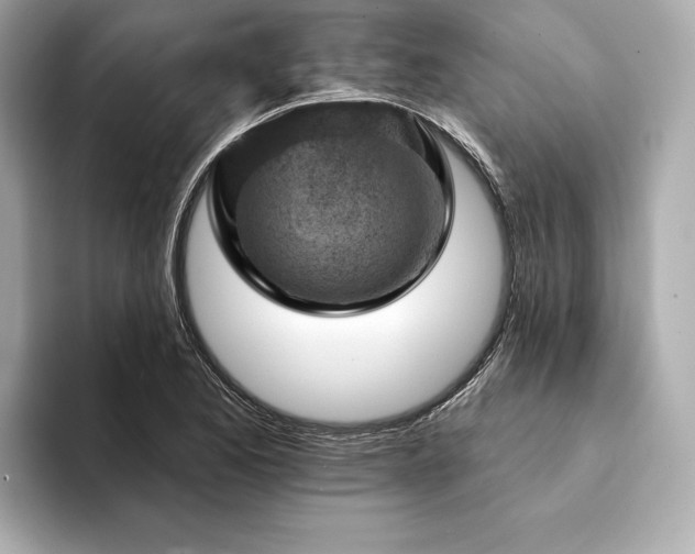 X0000094191173200710261125