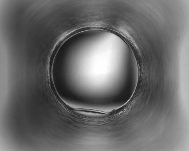 X0000094191176200710261125