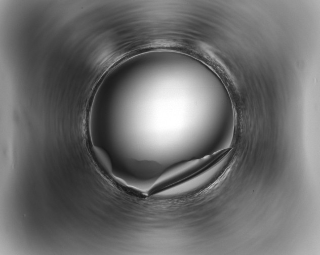 X0000094191177200710261125