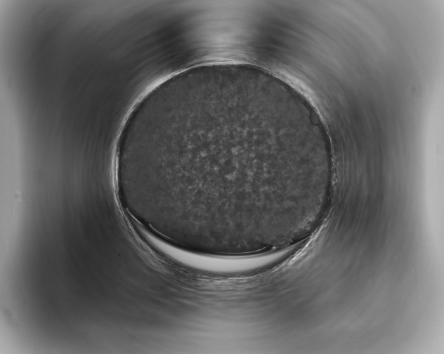 X0000094191179200710261125
