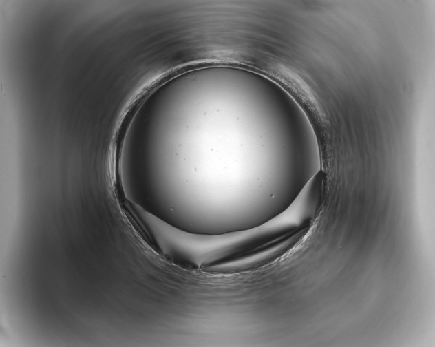 X0000094191180200710261125