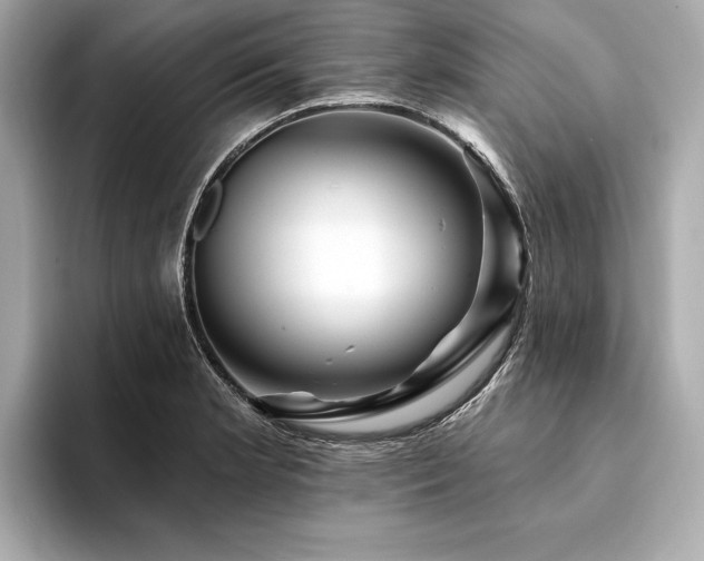 X0000094191181200710261125