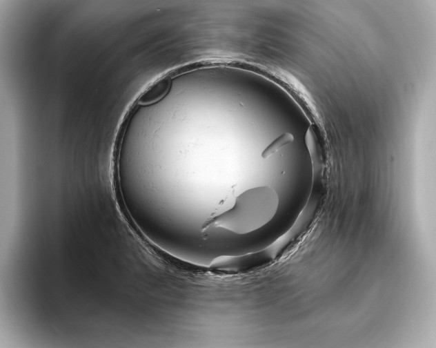 X0000094191183200710261125