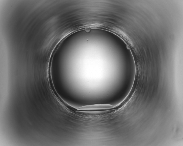 X0000094191186200710261125