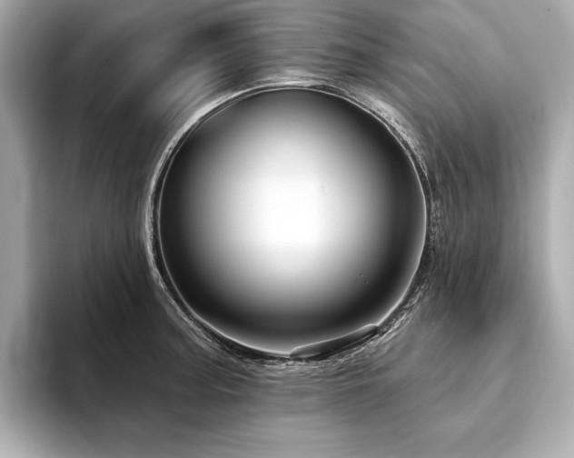 X0000094191187200710261125