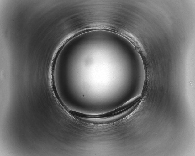 X0000094191188200710261125