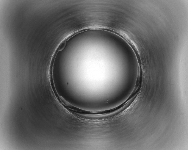 X0000094191189200710261125