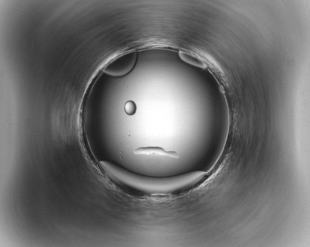X0000094191190200710261125