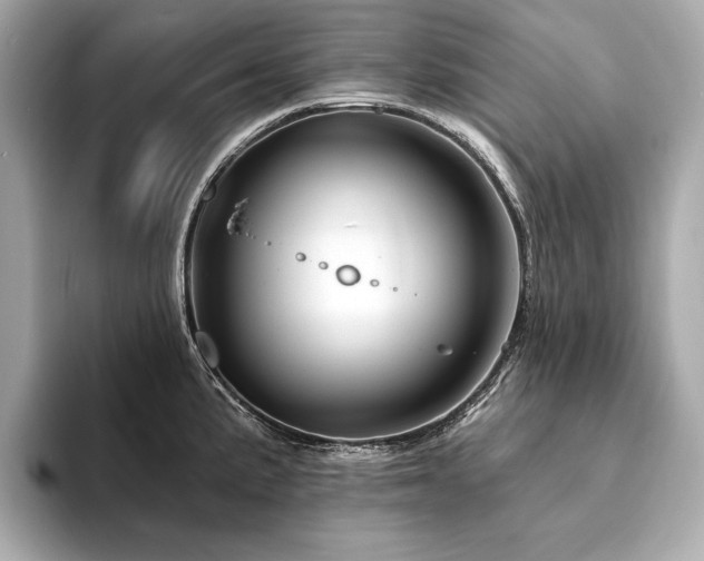 X0000094191191200710261125