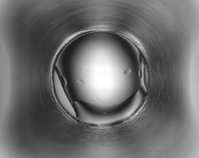 X0000094191192200710261125
