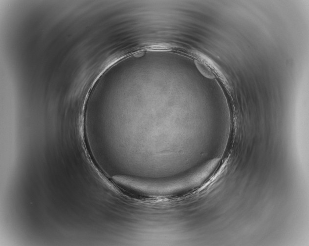 X0000094191194200710261125