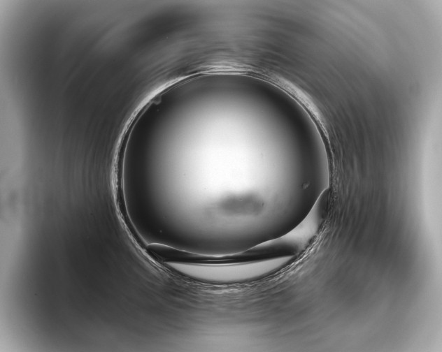 X0000094191195200710261125