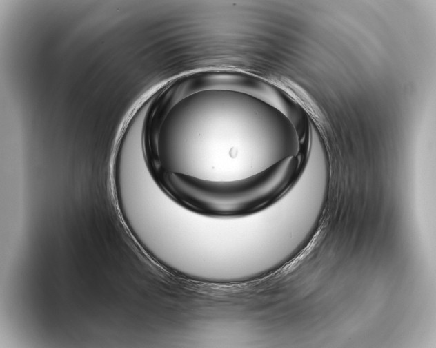 X0000094191196200710261125