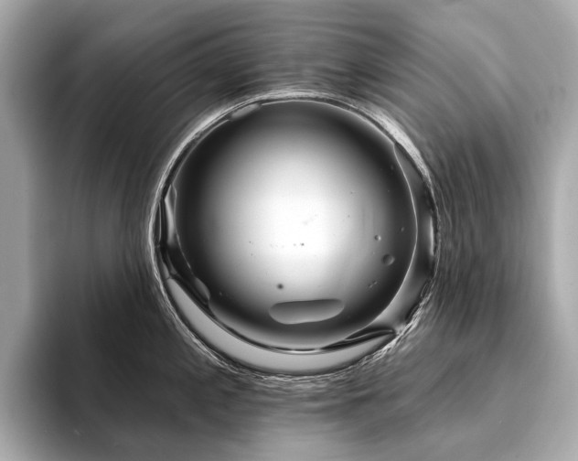X0000094191197200710261125