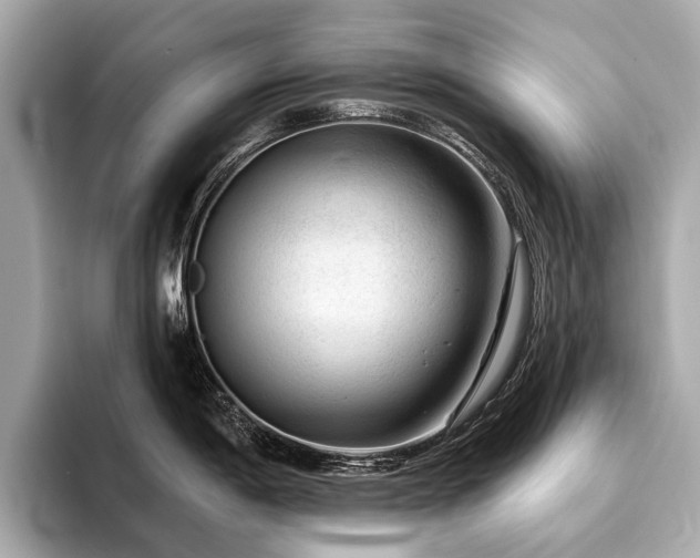 X0000094191198200710261125