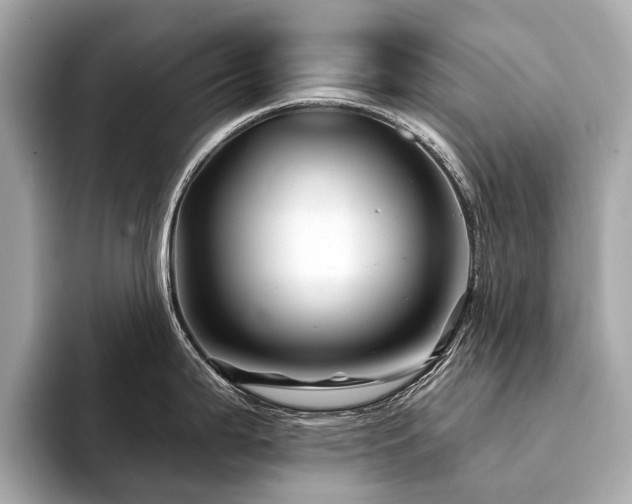 X0000094191199200710261125