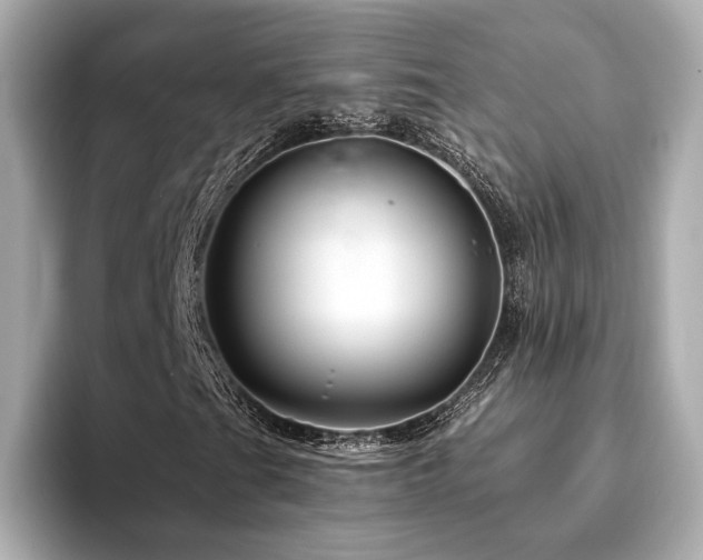 X0000094191201200710261124
