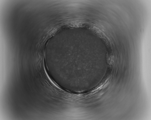 X0000094191202200710261124