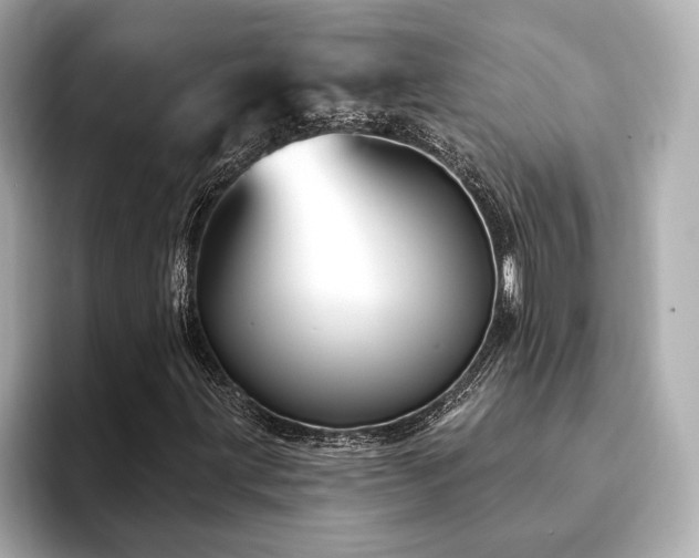 X0000094191203200710261124