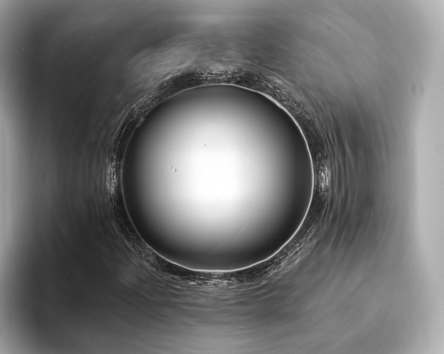 X0000094191204200710261124