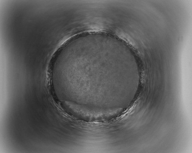 X0000094191208200710261124