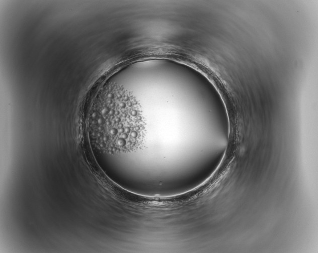 X0000094191211200710261125