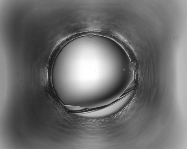 X0000094191214200710261125