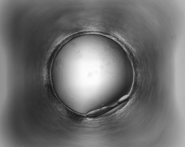 X0000094191215200710261125