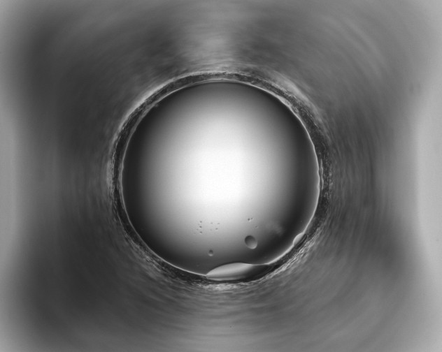 X0000094191216200710261125
