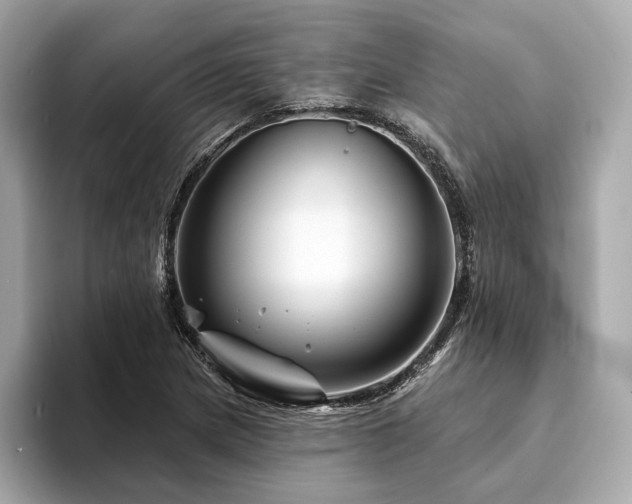 X0000094191217200710261125