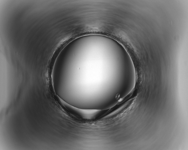 X0000094191218200710261125