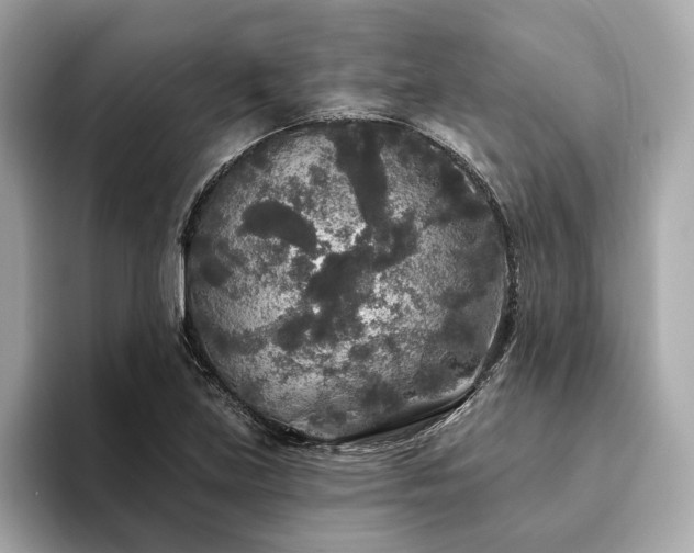 X0000094191219200710261125