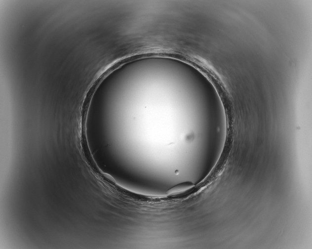 X0000094191220200710261125
