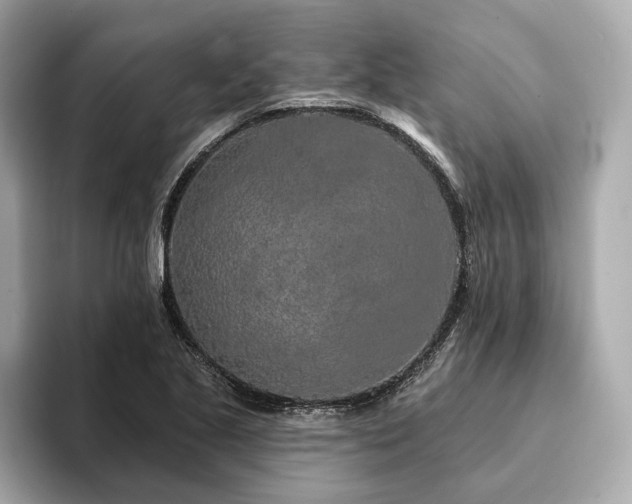 X0000094191221200710261125