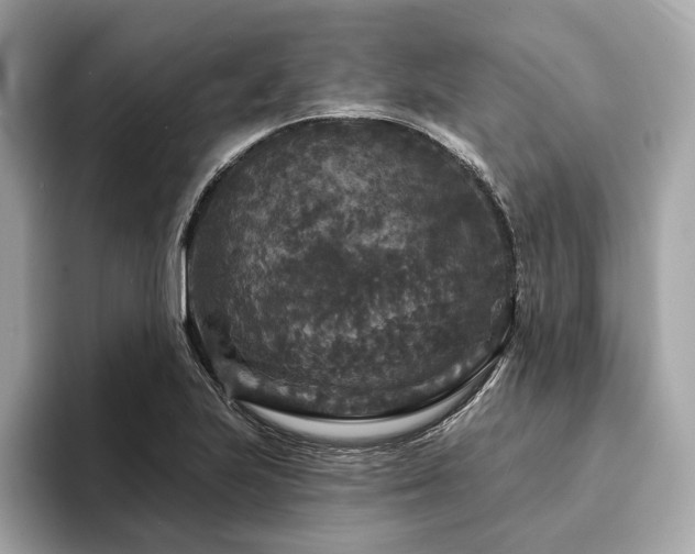 X0000094191223200710261125
