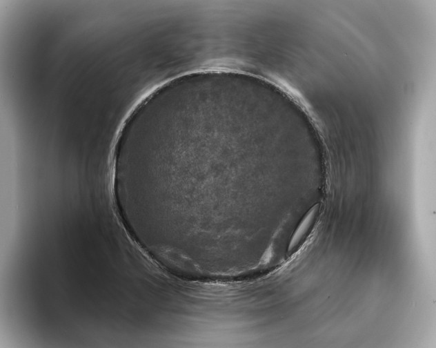 X0000094191224200710261125